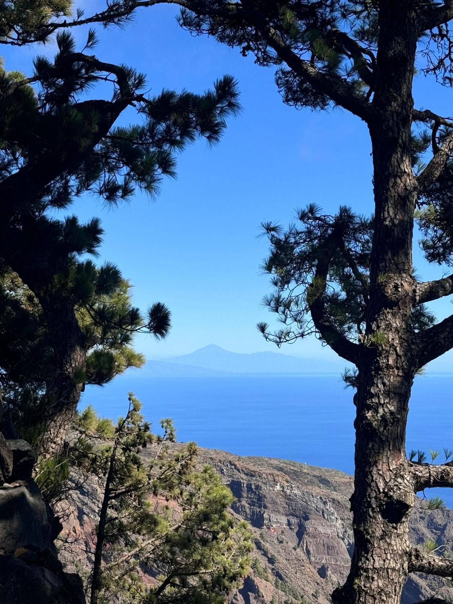 Apartamento El Rincon La Restinga Pokoj fotografie